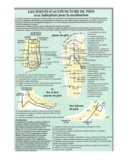 Points d'acupuncture du pied