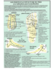 Points d'acupuncture du pied