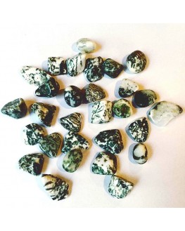 agate arbre agate arbre