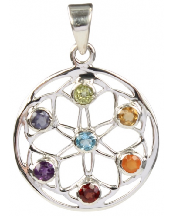 Pendentif Pierres des Chakras