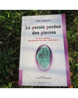 Parole perdue des pierres