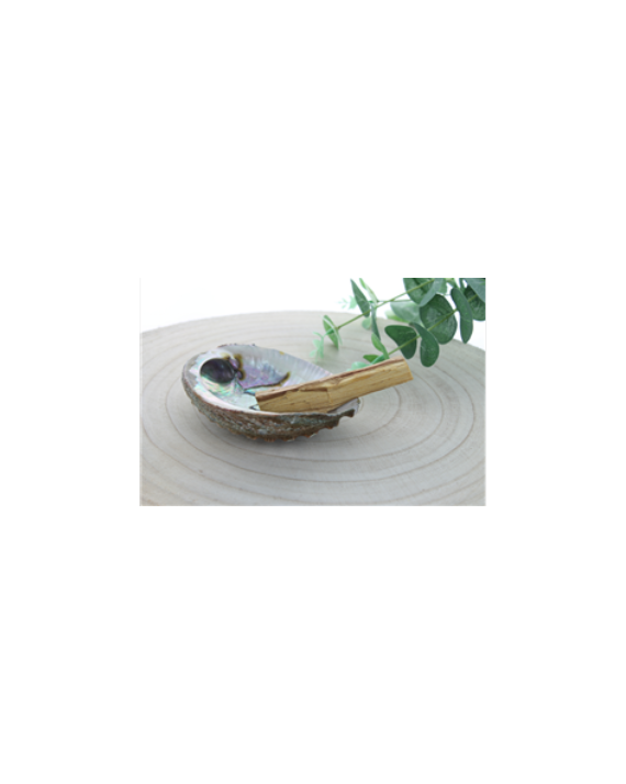 Palo Santo Green Tree Bâtonnets Sachet de 50 g Palo Santo Green Tree Bâtonnets Sachet de 50 g
