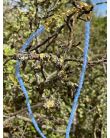 Collier Agate Bleue 4mm