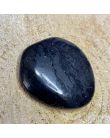 Shungite Pierre Plate