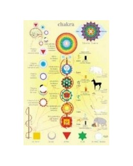 Poster plastifié - Chakras fond jaune