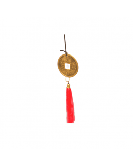 Carillon grenouille avec pièce - Feng Shui Carillon grenouille avec pièce - Feng Shui