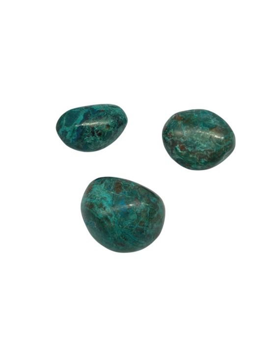 Gallet de chrysocolle