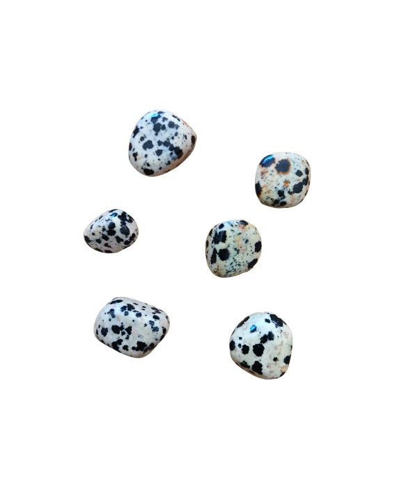 Pierre roulée en jaspe dalmatien Pierre roulée en jaspe dalmatien