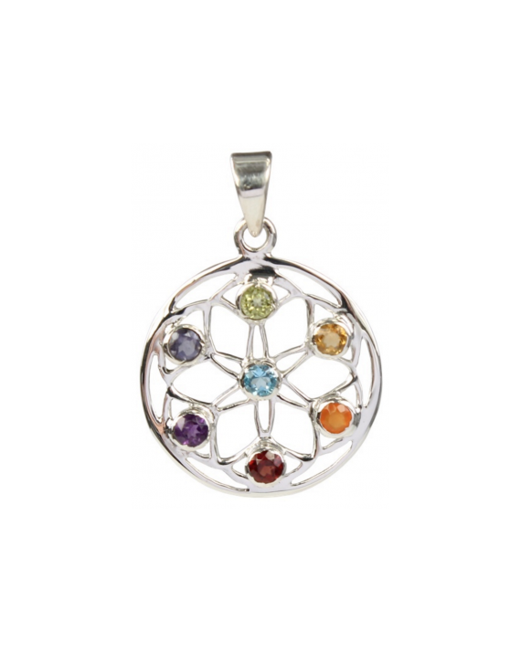 Médaillon énergétique argent des 7 Chakras Médaillon énergétique argent des 7 Chakras