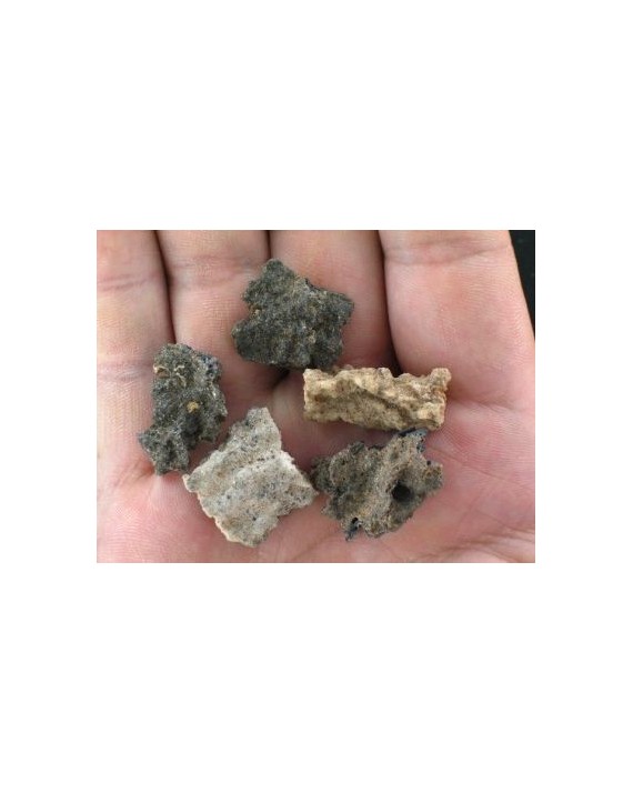 Fulgurite Pierre brute Fulgurite Pierre brute